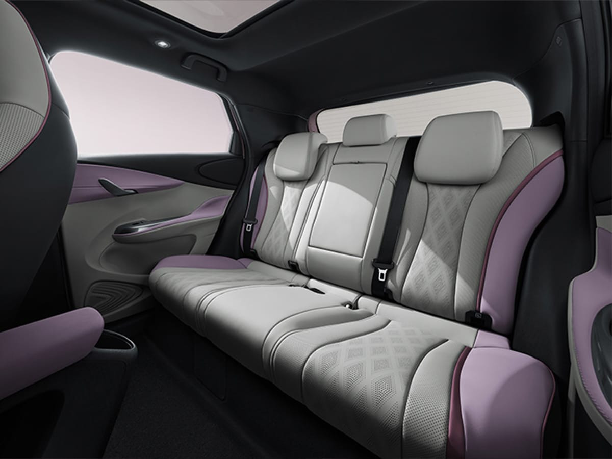 Ghế sau BYD Dolphin