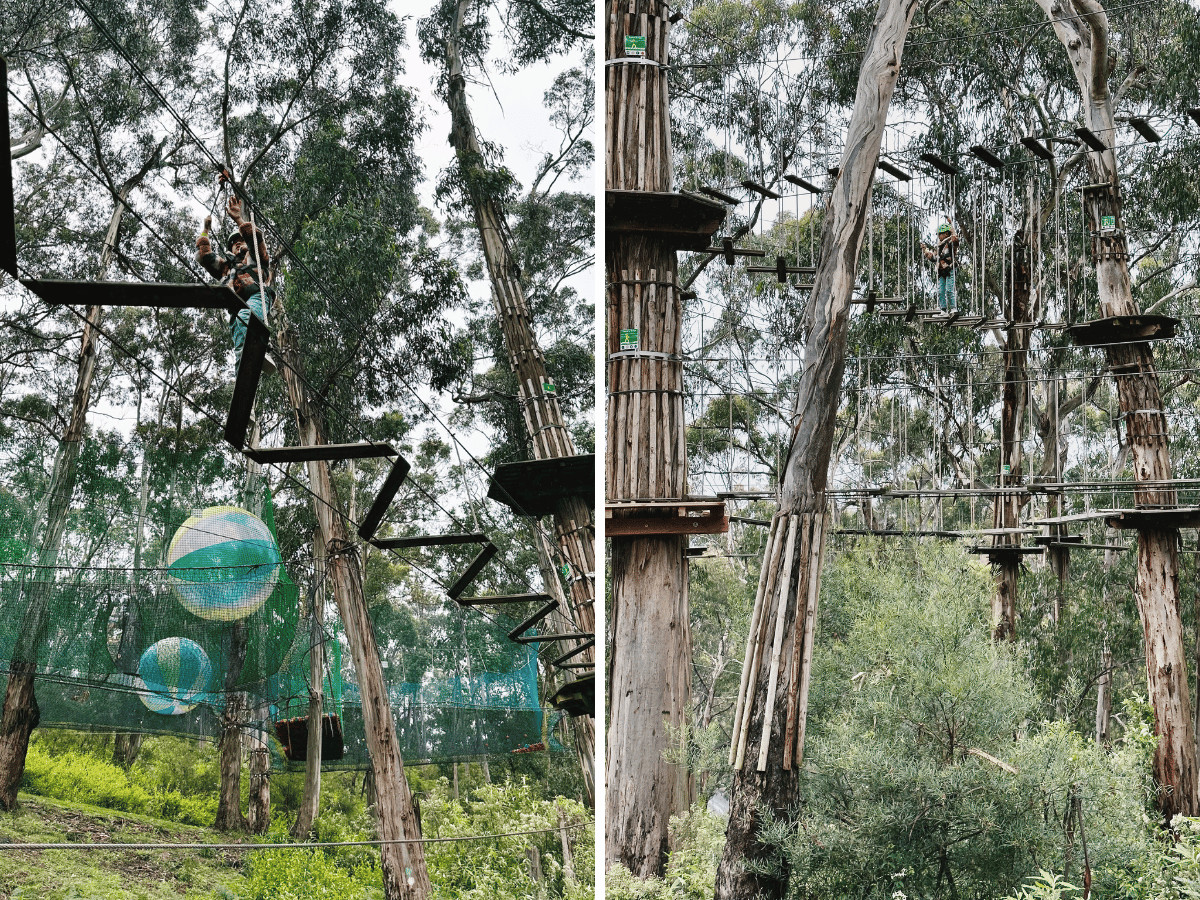 Live Wire Park