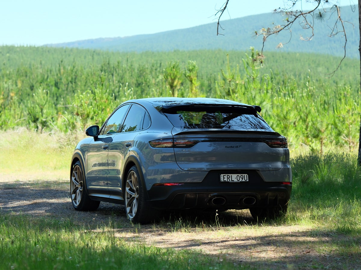 Porsche Cayenne Turbo GT đuôi xe trong rừng