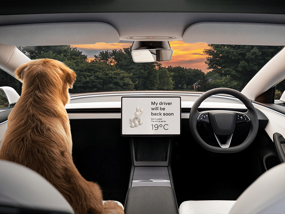 Tesla Model 3 Interior Touchscreen